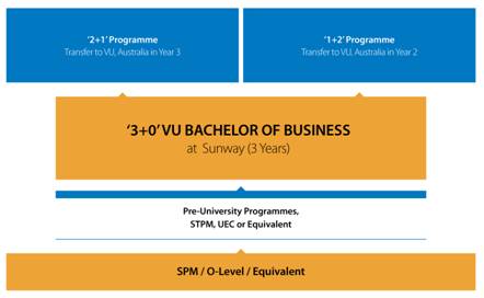 Programme Pathway