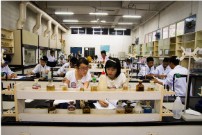 A typical day in one of our well equipped Science Laboratories